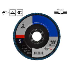 lepezasti disk